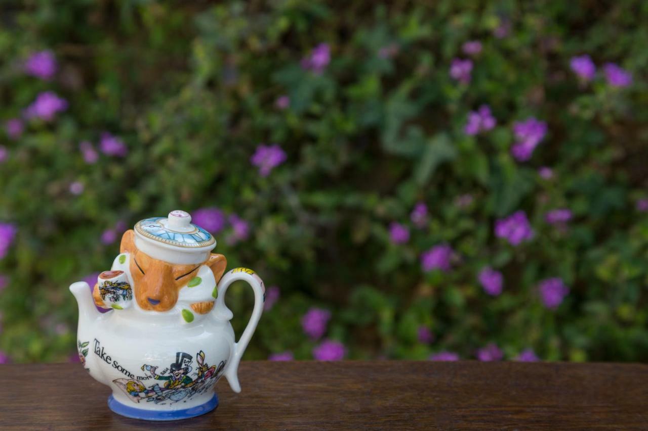 Cheshire Cat Inn & Cottages サンタバーバラ エクステリア 写真